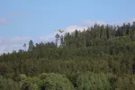 2026_Lipno_Willy_Blain_IMG_3525