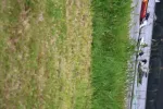 2026_Lipno_Willy_Blain_IMG_3550